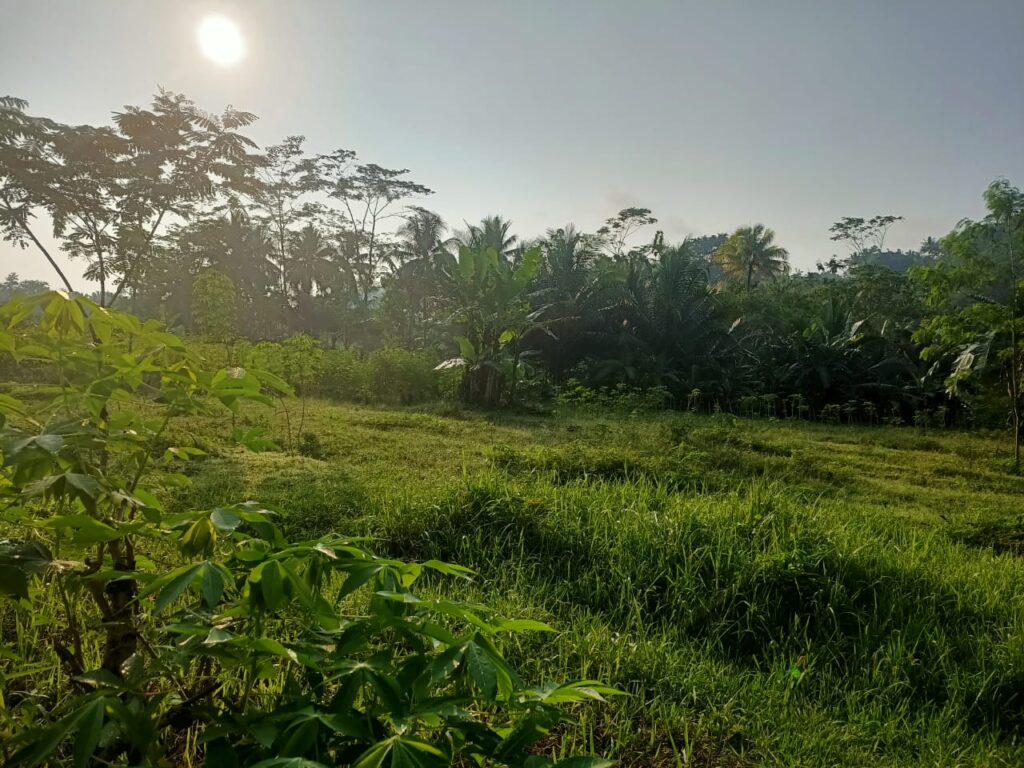 7010e343-4171-435a-8451-e54ef54aabfb Unlocking Land Value: How to Invest in Undeveloped Real Estate