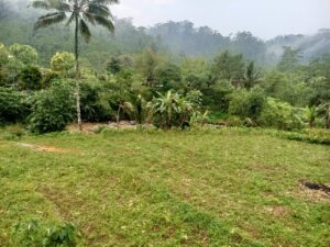 sawah2 land investment